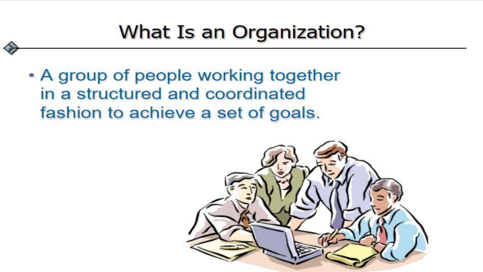 What is an Organization?